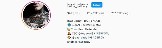 Instagram profile of Bad Birdy