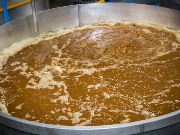 Embajador Agave extraction with water